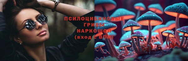 прущие грибы Абдулино