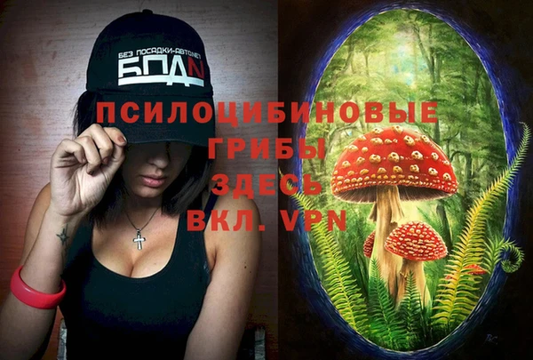спайс Абинск
