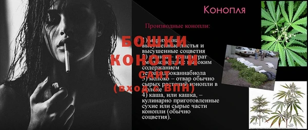 прущие грибы Абдулино