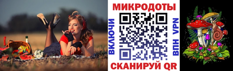 цены Эртиль Псилоцибиновые грибы мицелий